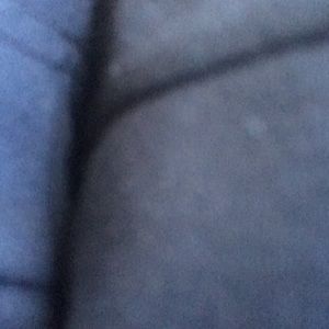 Meet your Posher, Terrance